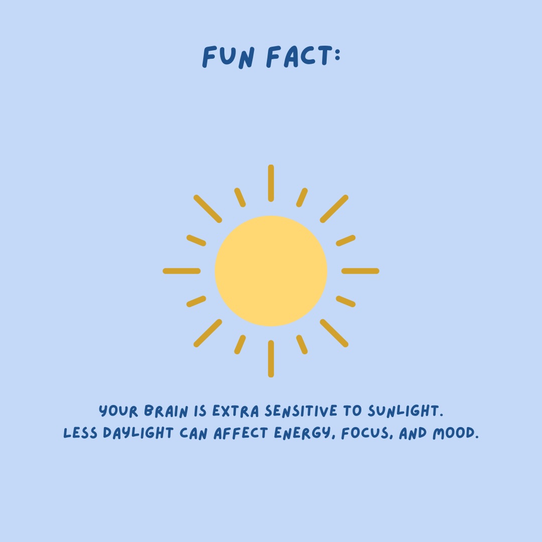 Sunlight Fun FUN FACT ABOUT SUNLIGHT